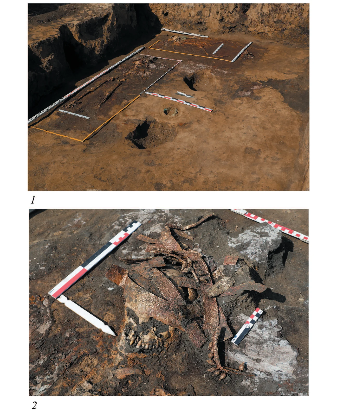 Elite Scythian mound excavation showing female burials with golden kalathos headdress and weapons